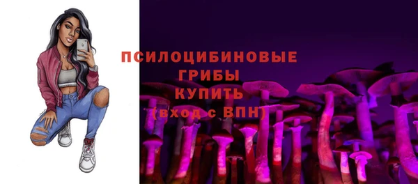 твердый Зеленокумск