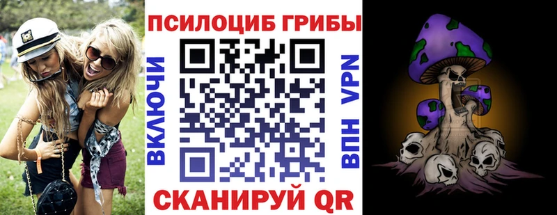 Купить закладки  Чернушка  Галлюциногенные грибы Psilocybe 